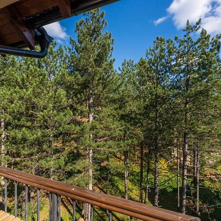 Apartment Grey Mountain Zlatibor Dış mekan fotoğraf
